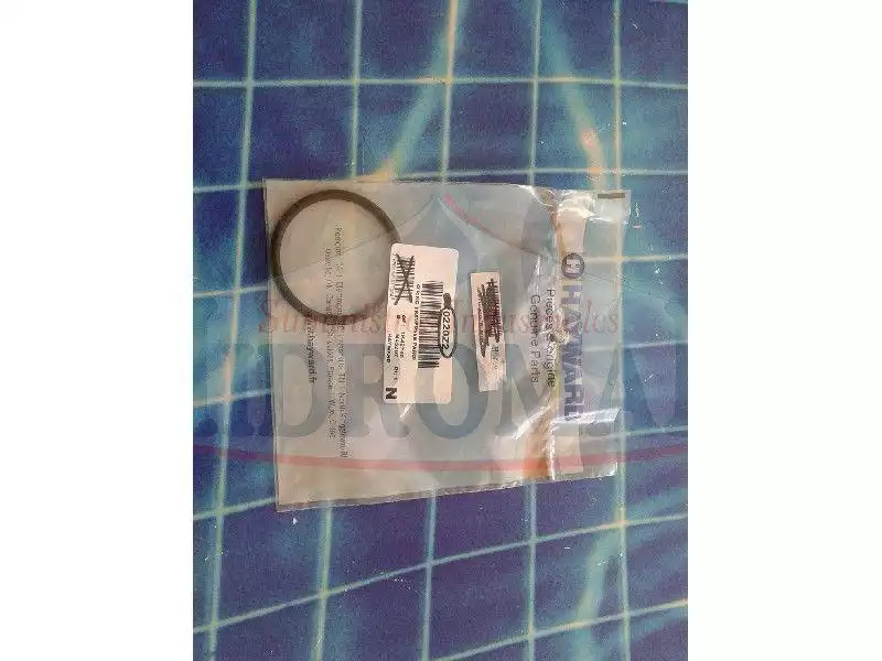 Hayward S0166S Filter – Sx0220Z2 Wanddurchführungsdichtung – Bild 2