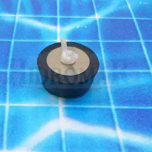 Winter Plug 2"