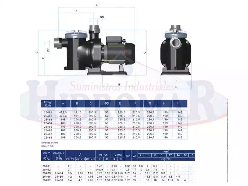 Astral Sena 1,25 HP 400V Pumpe. - Bild 2