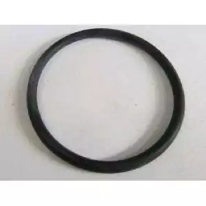 O-Ring der Niper1-Pumpe