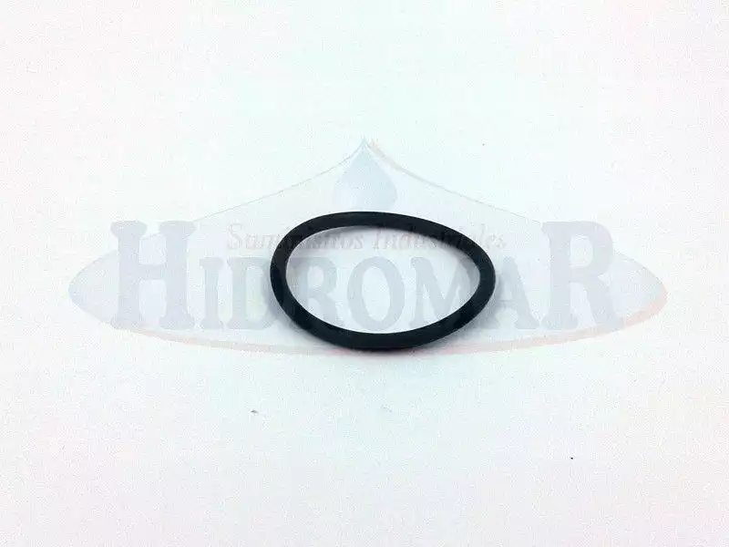 Flipper 2Ns - Espa Pump Racord Dichtung