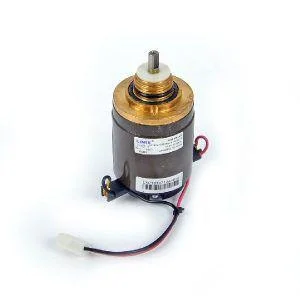 Dolphin Motor 9995382 – Filtermotor (1 Einheit) Alt