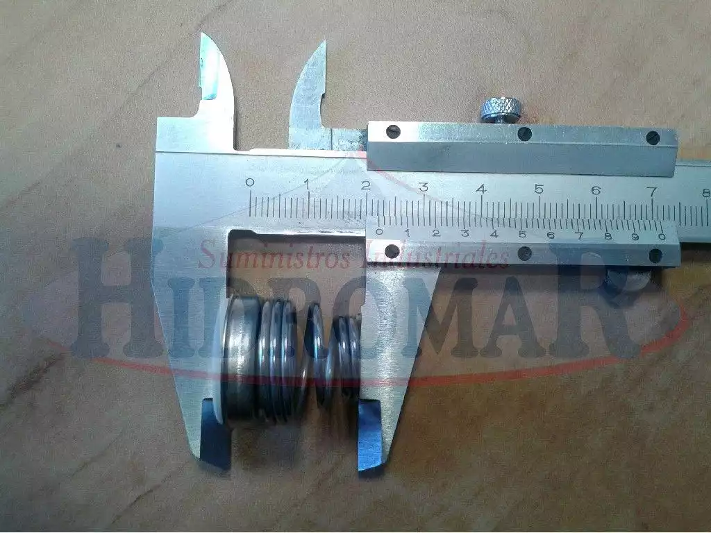 Rit12 Gleitringdichtung – Bild 2