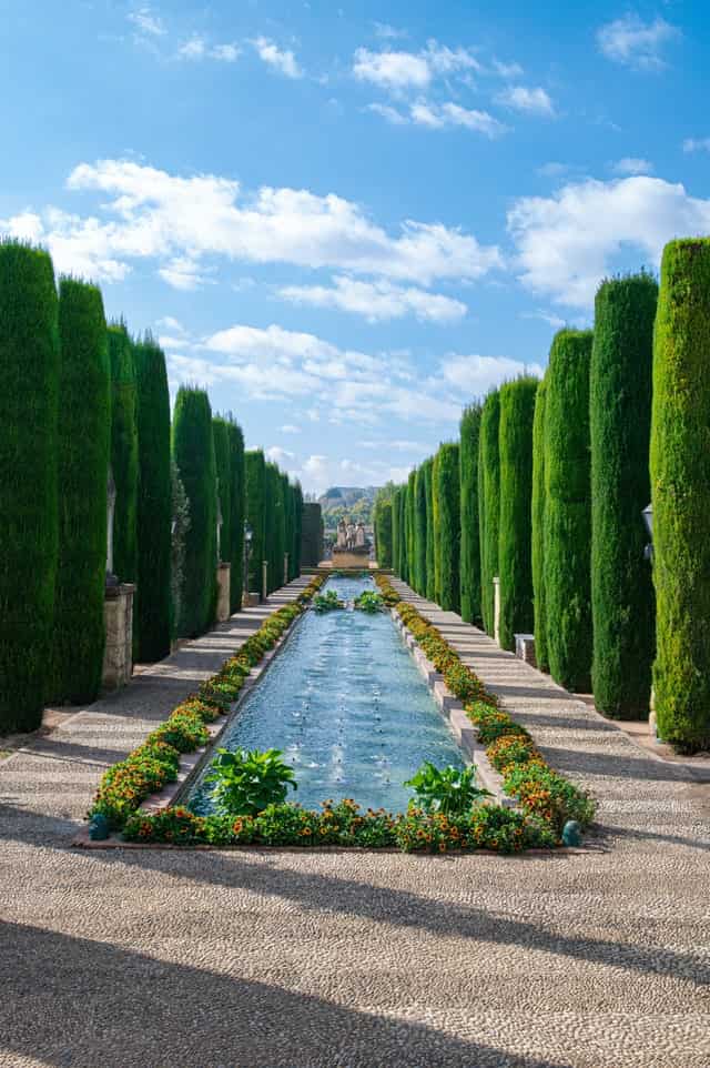 jardineras