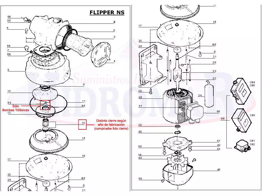 Bomba sobressalente Espa Flipper Ns