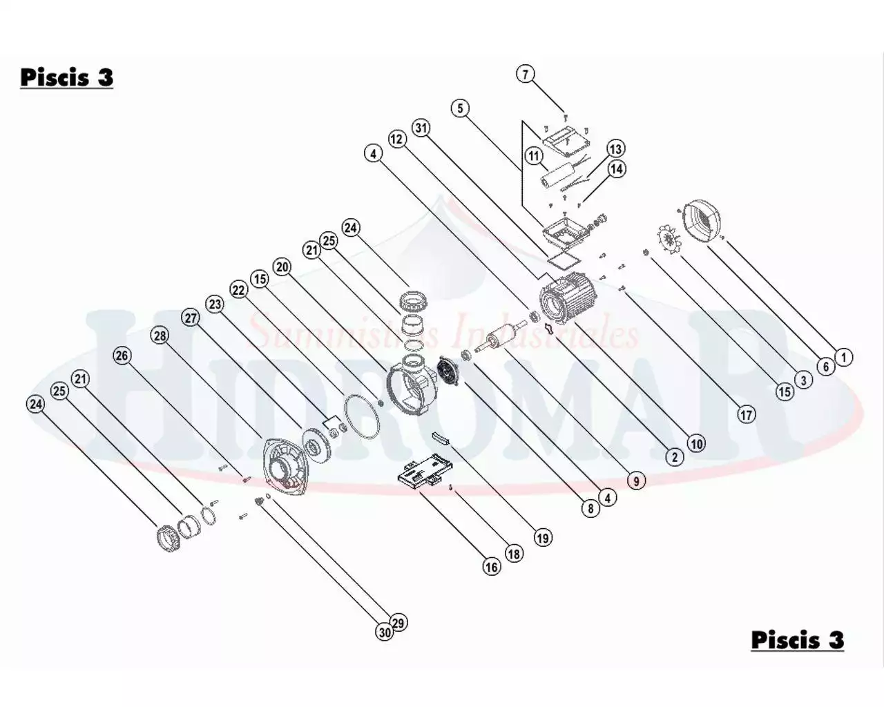 Substituição da bomba Espa Piscis 3