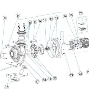 Astral Kivu Pump Replacement
